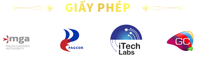 giấy phép hoạt động tg88